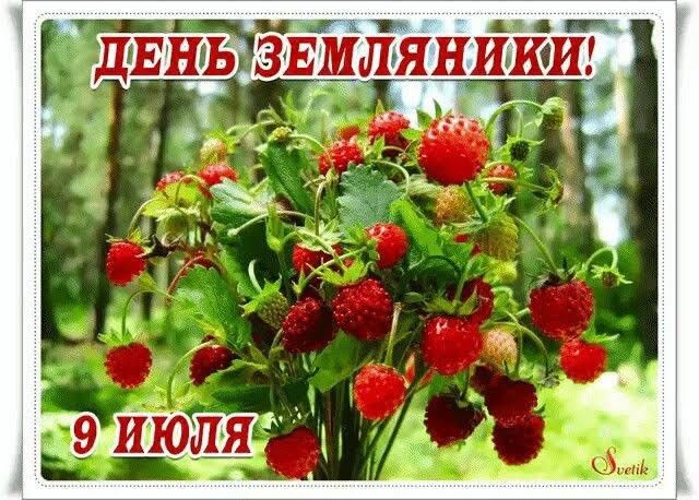 https://upforme.ru/uploads/001c/87/08/3/419986.jpg
