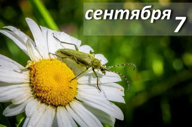 https://upforme.ru/uploads/001c/87/08/3/421013.jpg