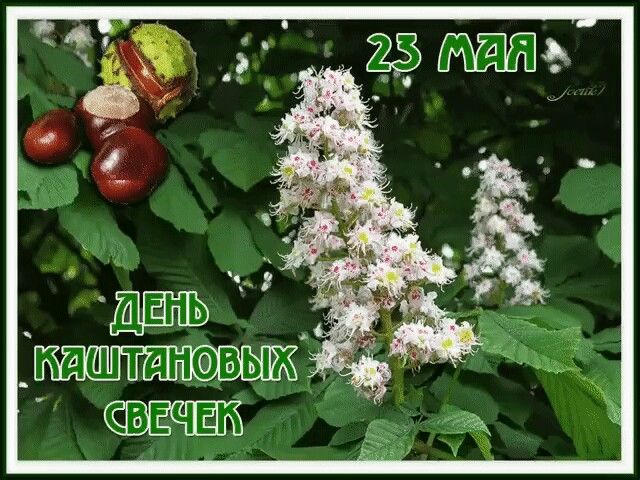 https://upforme.ru/uploads/001c/87/08/3/426591.jpg