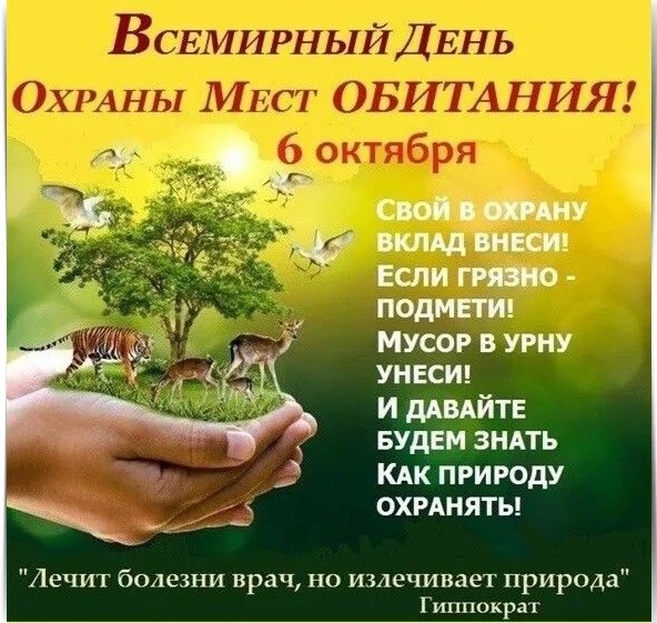 https://upforme.ru/uploads/001c/87/08/3/427581.jpg
