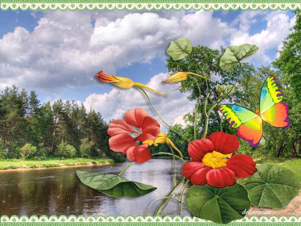 https://upforme.ru/uploads/001c/87/08/3/429856.gif