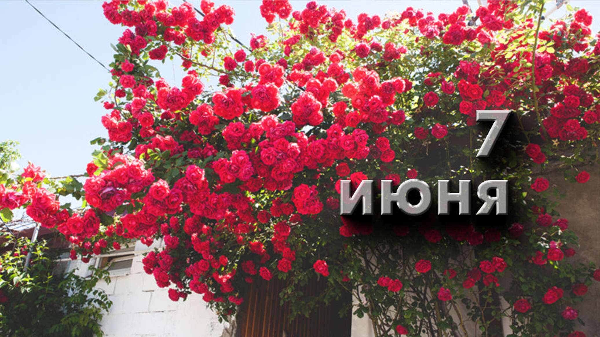 https://upforme.ru/uploads/001c/87/08/3/430182.jpg