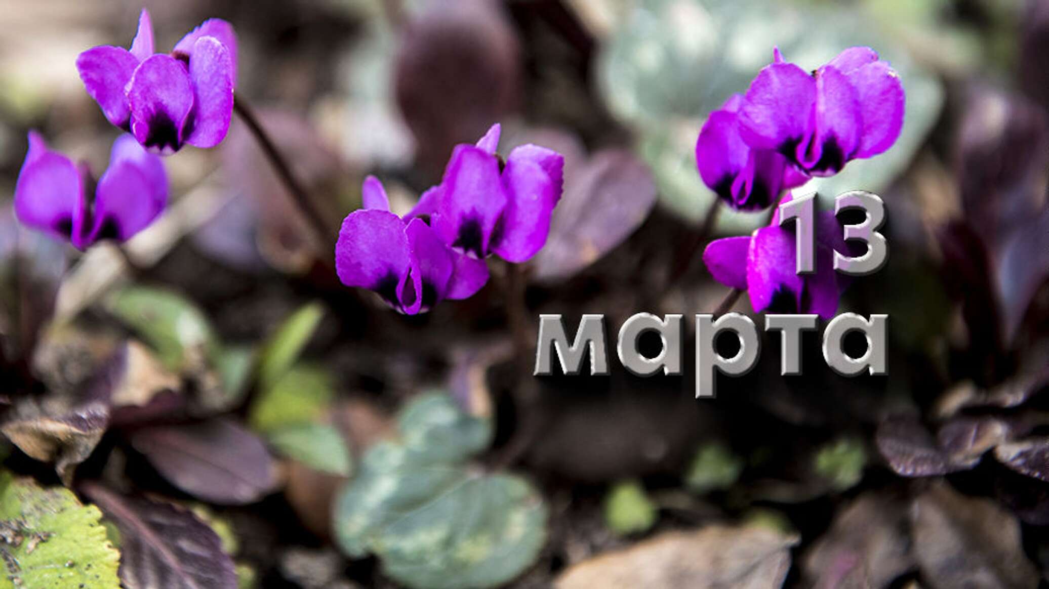 https://upforme.ru/uploads/001c/87/08/3/436473.jpg
