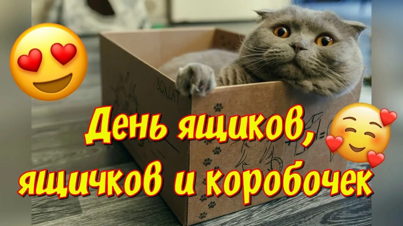 https://upforme.ru/uploads/001c/87/08/3/440860.jpg