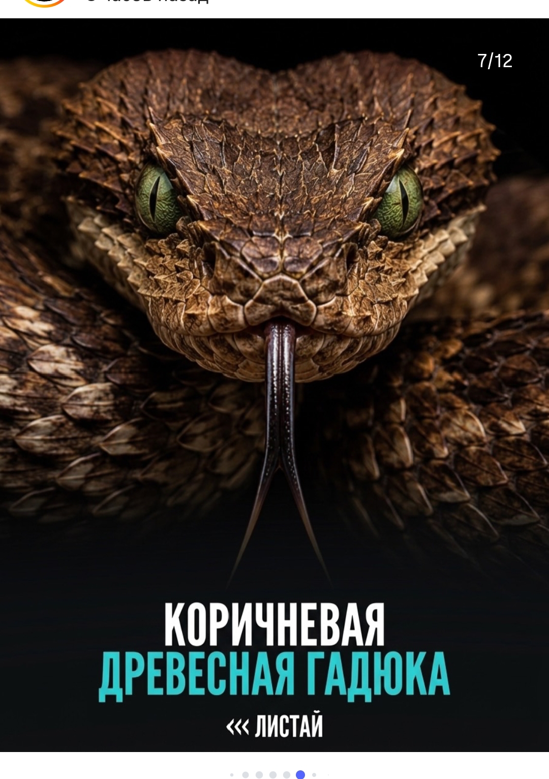 https://upforme.ru/uploads/001c/87/08/3/441347.jpg