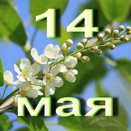 https://upforme.ru/uploads/001c/87/08/3/446180.jpg