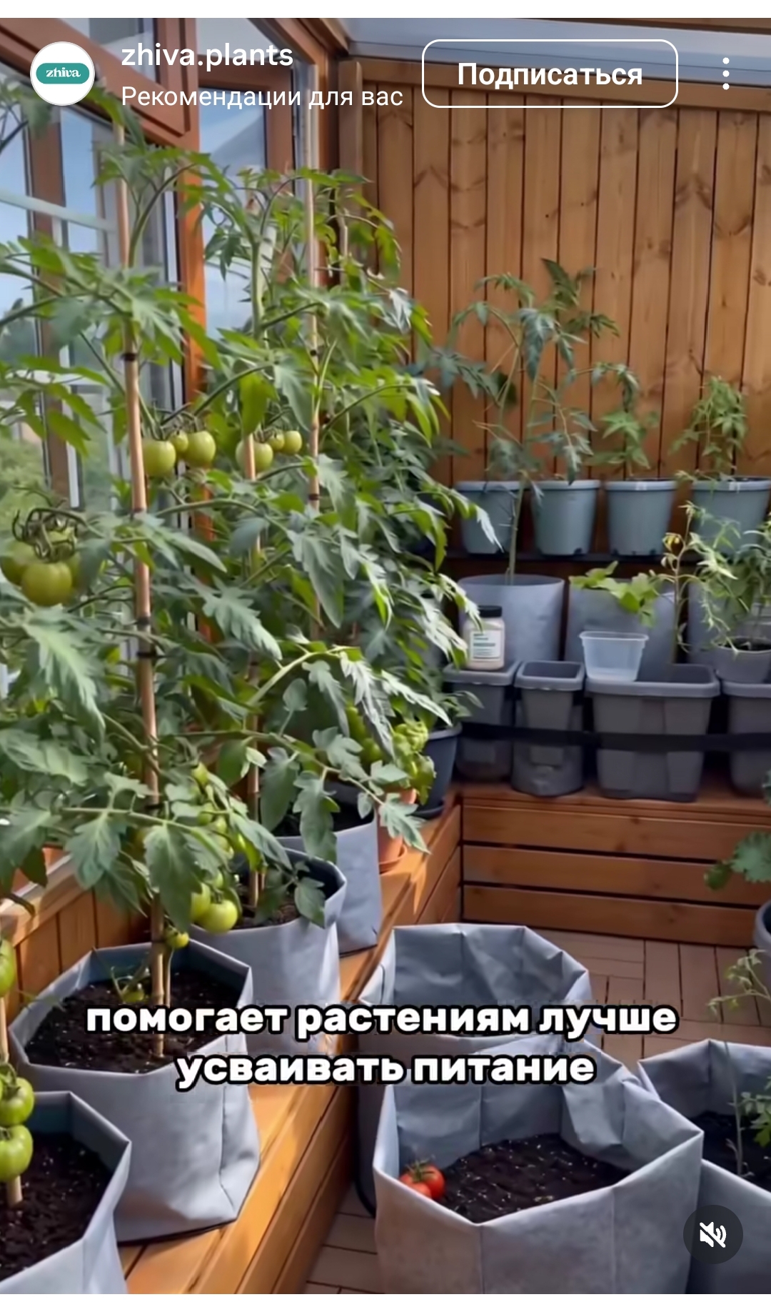 https://upforme.ru/uploads/001c/87/08/3/451014.jpg