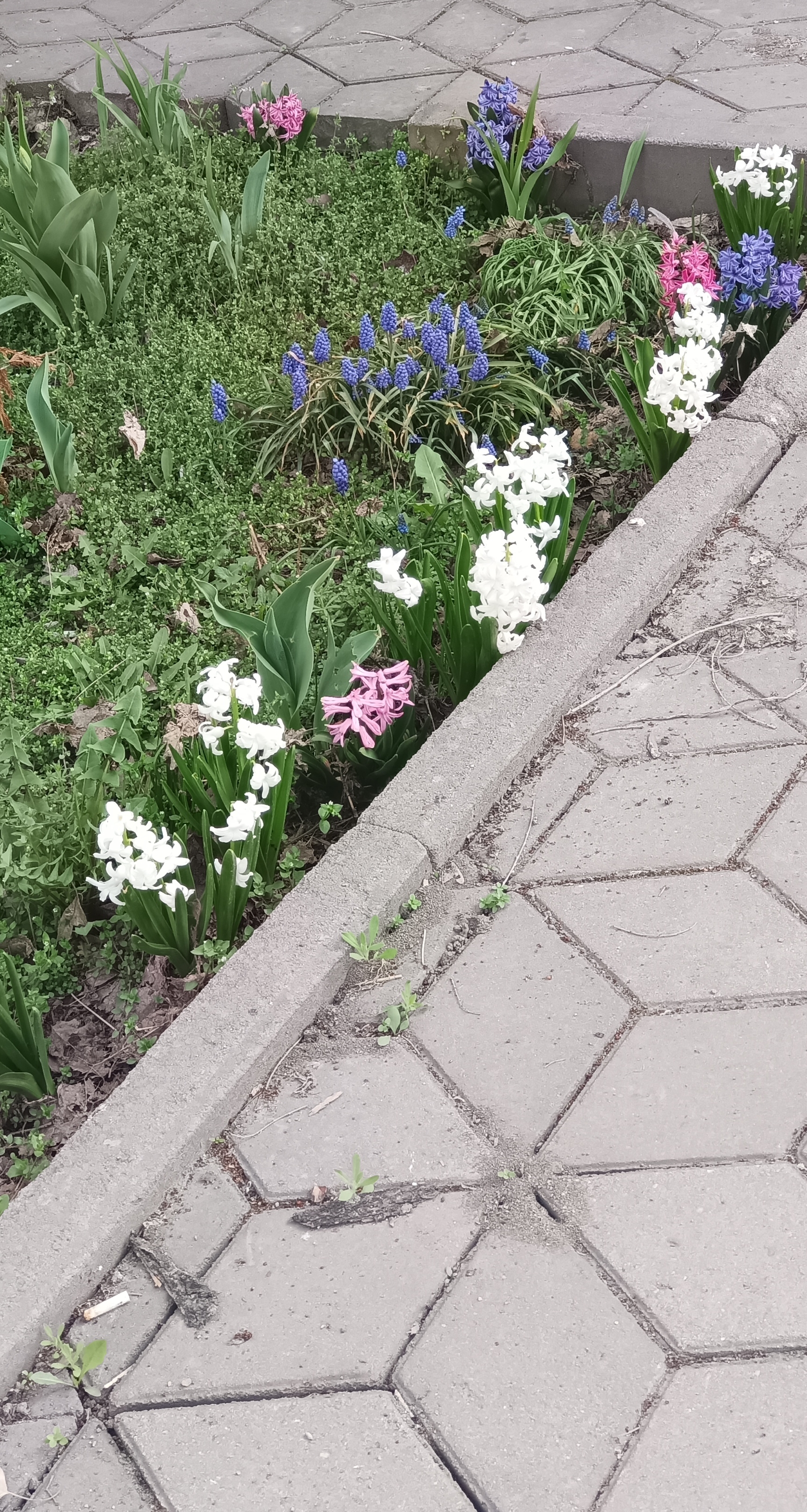 https://upforme.ru/uploads/001c/87/08/3/452159.jpg