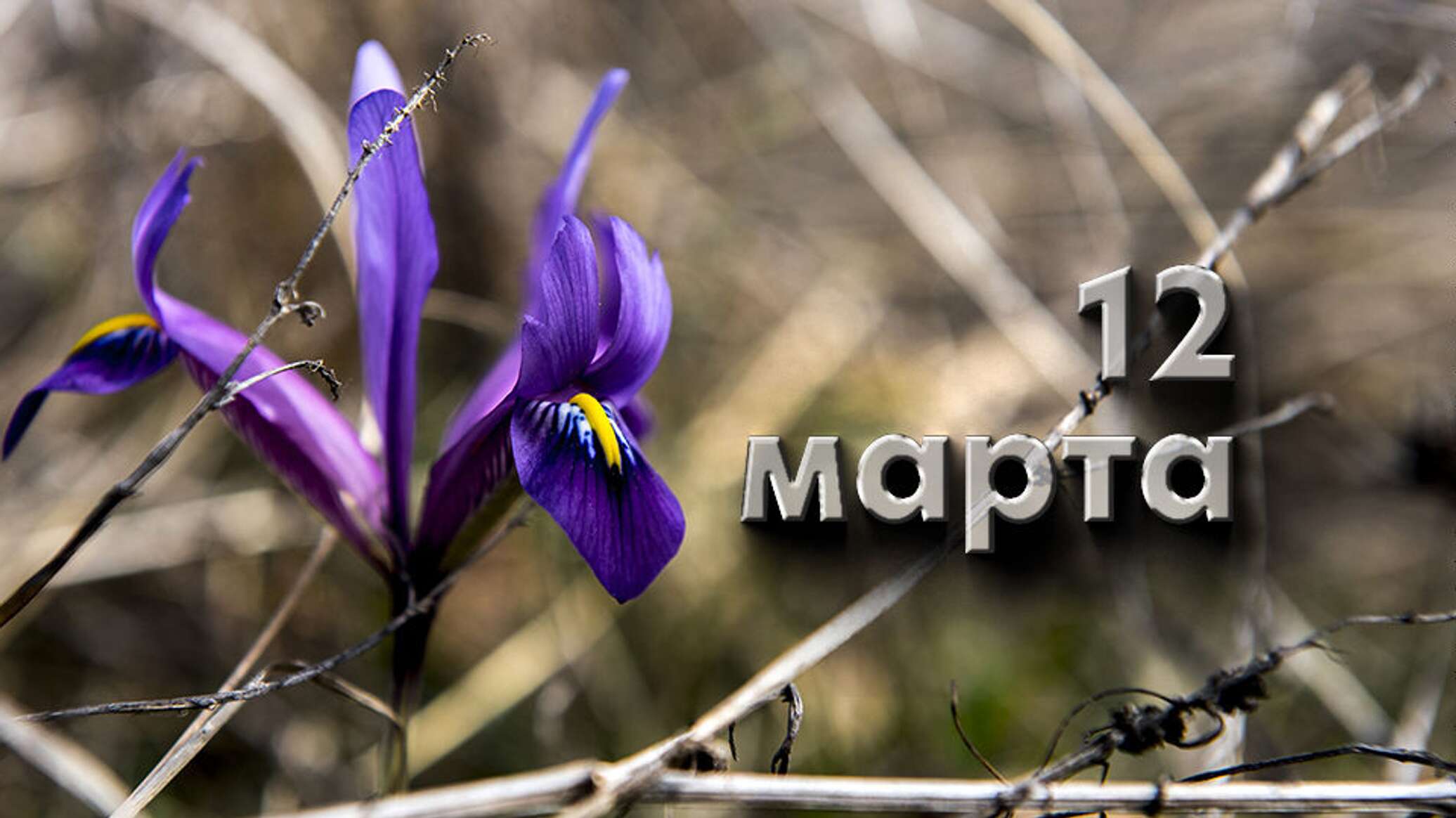 https://upforme.ru/uploads/001c/87/08/3/457354.jpg
