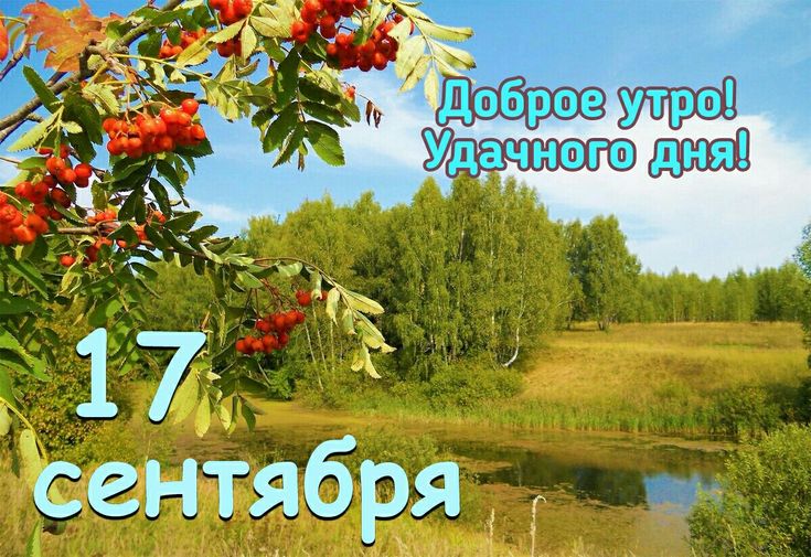 https://upforme.ru/uploads/001c/87/08/3/466325.jpg