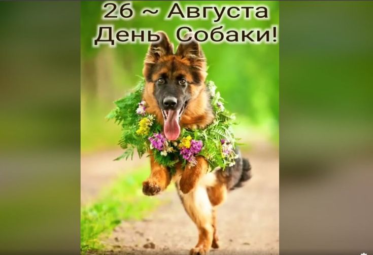 https://upforme.ru/uploads/001c/87/08/3/469538.jpg
