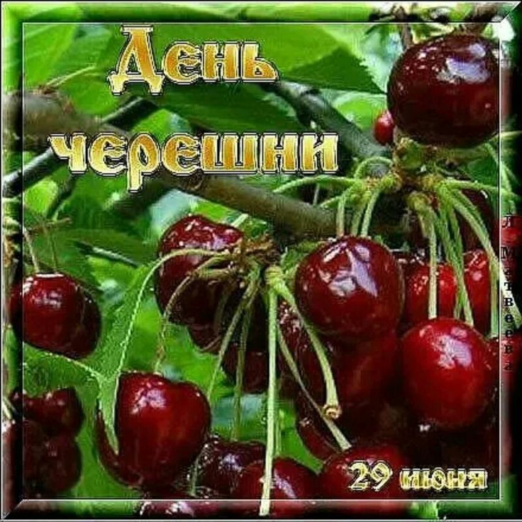 https://upforme.ru/uploads/001c/87/08/3/478357.jpg