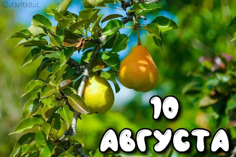 https://upforme.ru/uploads/001c/87/08/3/480874.jpg