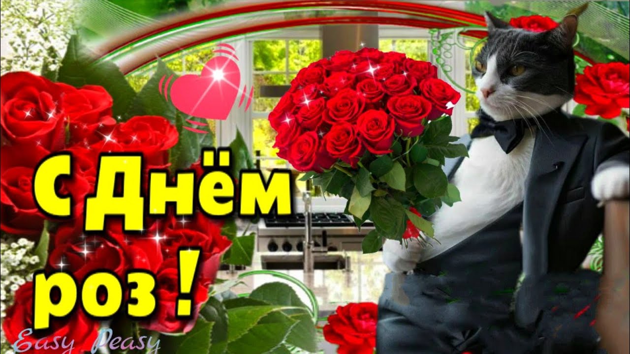 https://upforme.ru/uploads/001c/87/08/3/484917.jpg