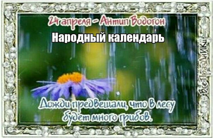 https://upforme.ru/uploads/001c/87/08/3/49769.jpg