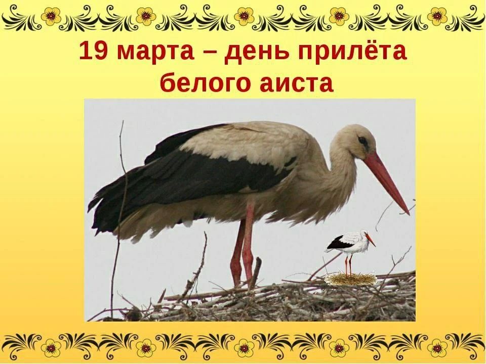 https://upforme.ru/uploads/001c/87/08/3/502791.jpg