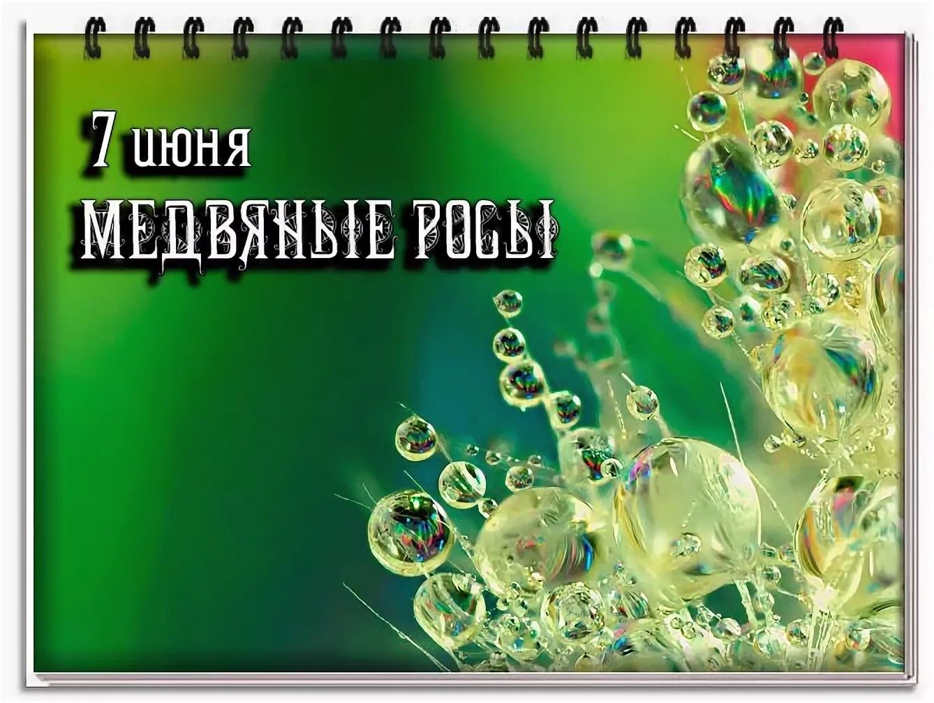 https://upforme.ru/uploads/001c/87/08/3/506893.jpg