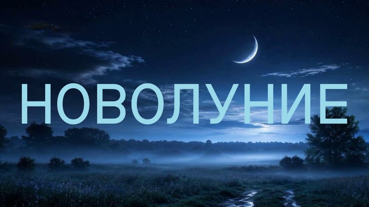 https://upforme.ru/uploads/001c/87/08/3/507024.jpg
