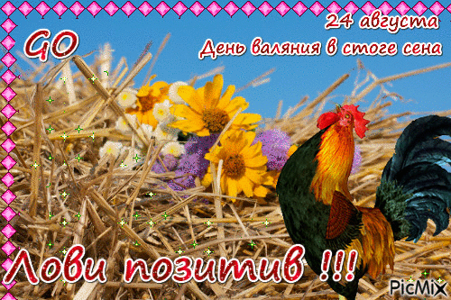 https://upforme.ru/uploads/001c/87/08/3/507997.gif