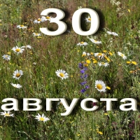 https://upforme.ru/uploads/001c/87/08/3/509588.jpg