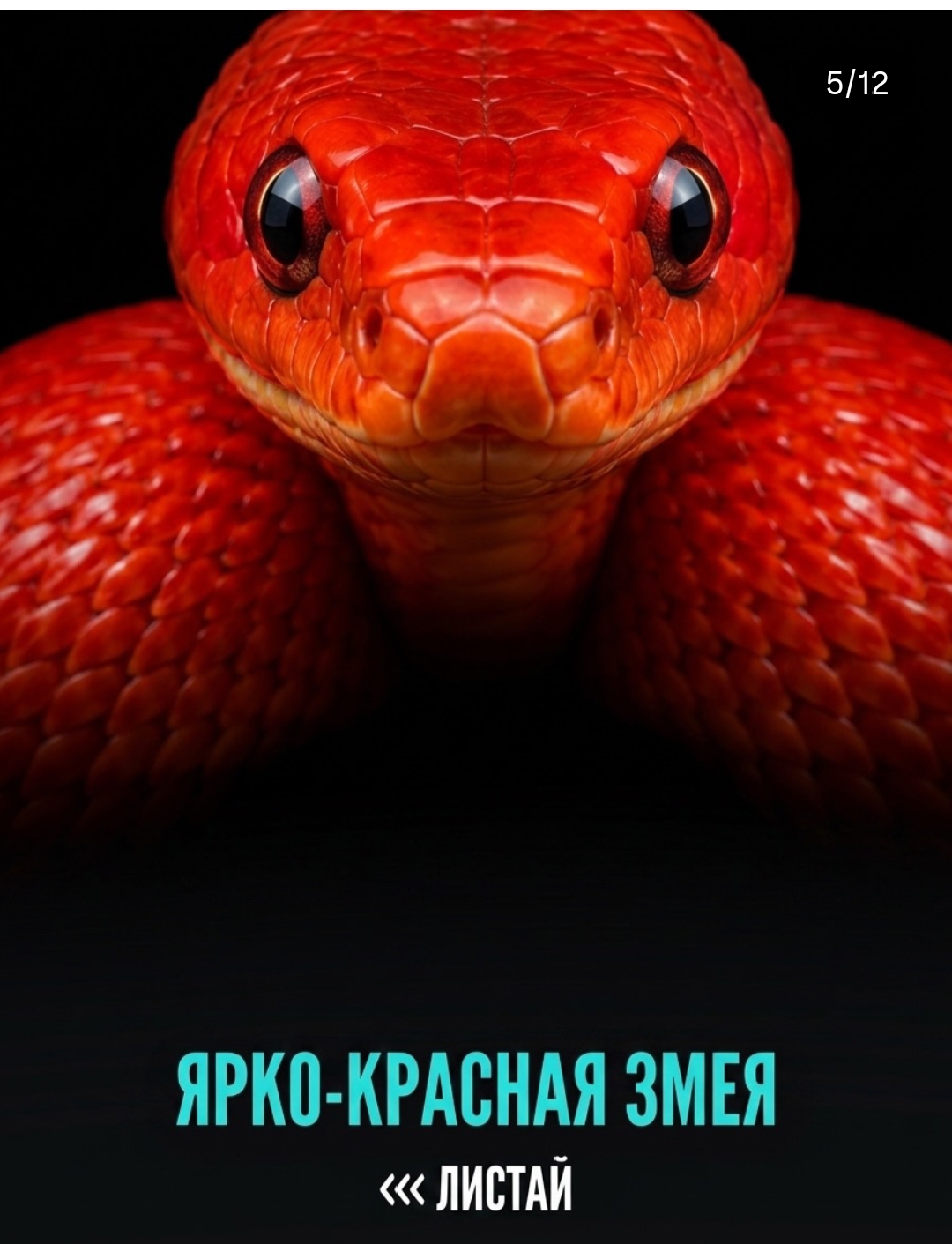 https://upforme.ru/uploads/001c/87/08/3/509937.jpg