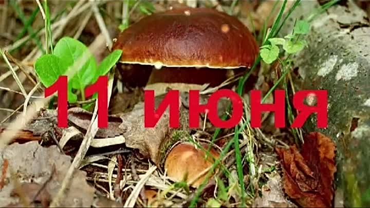 https://upforme.ru/uploads/001c/87/08/3/51370.jpg