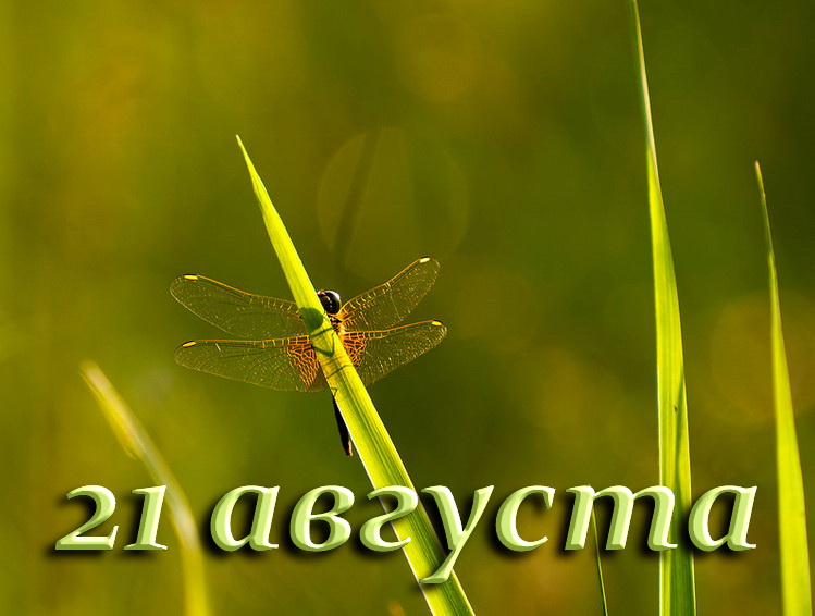 https://upforme.ru/uploads/001c/87/08/3/518724.jpg