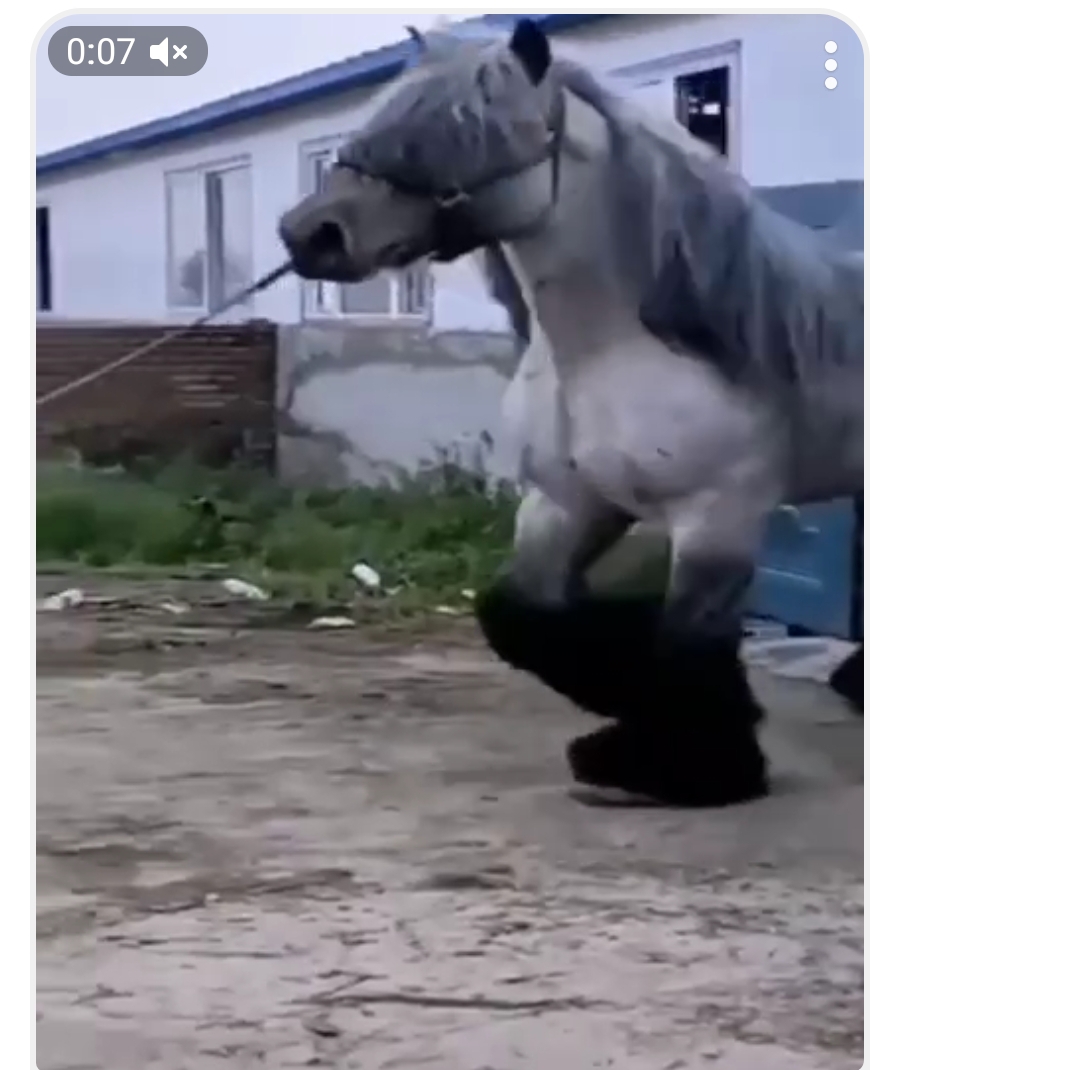 https://upforme.ru/uploads/001c/87/08/3/51959.jpg