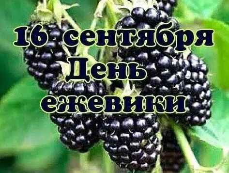 https://upforme.ru/uploads/001c/87/08/3/525972.jpg