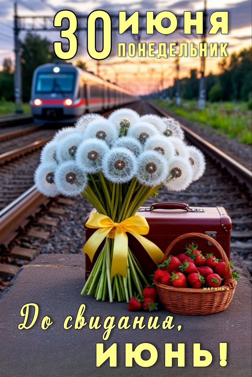 https://upforme.ru/uploads/001c/87/08/3/52911.jpg