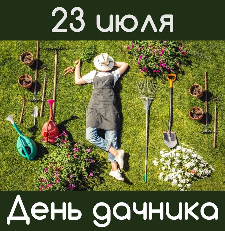 https://upforme.ru/uploads/001c/87/08/3/529705.jpg