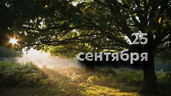 https://upforme.ru/uploads/001c/87/08/3/530892.jpg