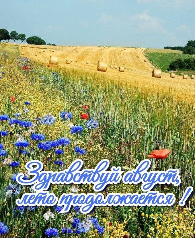 https://upforme.ru/uploads/001c/87/08/3/534716.jpg