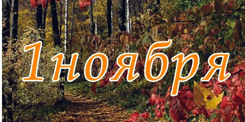 https://upforme.ru/uploads/001c/87/08/3/535112.jpg