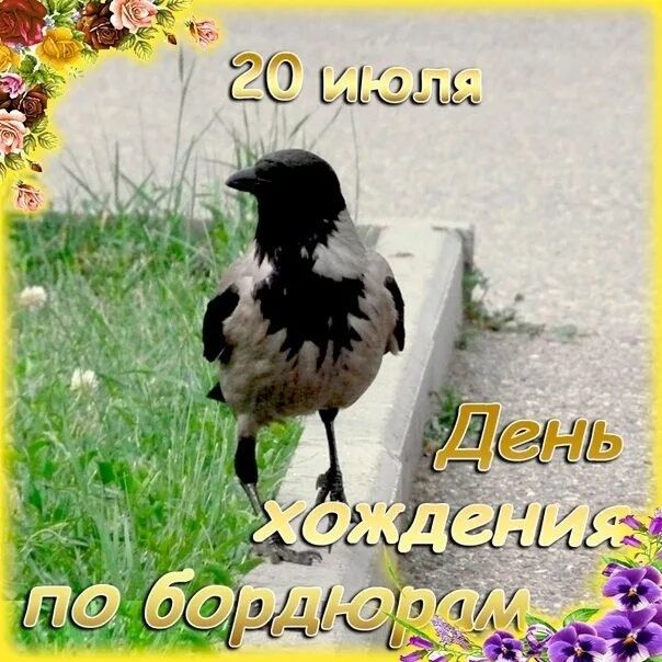 https://upforme.ru/uploads/001c/87/08/3/546832.jpg