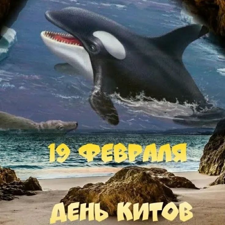 https://upforme.ru/uploads/001c/87/08/3/550436.jpg