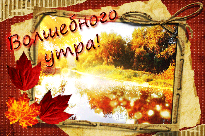 https://upforme.ru/uploads/001c/87/08/3/553523.gif