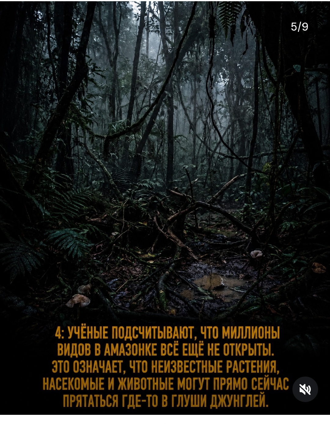 https://upforme.ru/uploads/001c/87/08/3/558969.jpg
