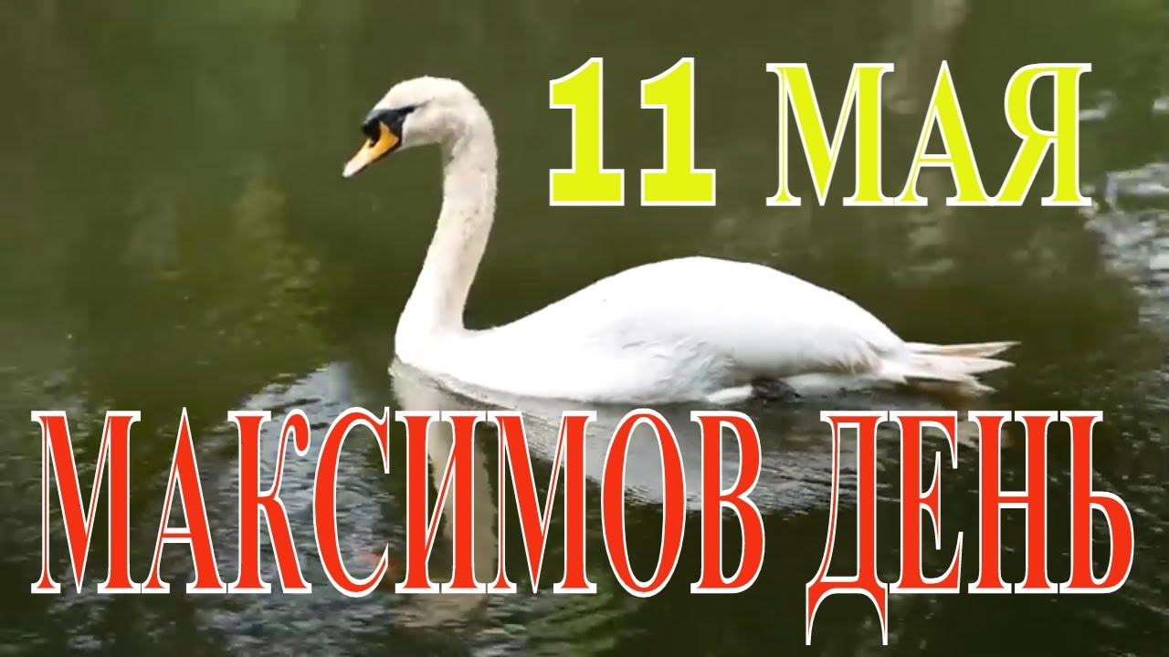 https://upforme.ru/uploads/001c/87/08/3/561961.jpg