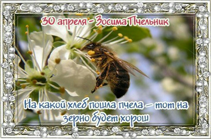 https://upforme.ru/uploads/001c/87/08/3/56366.jpg