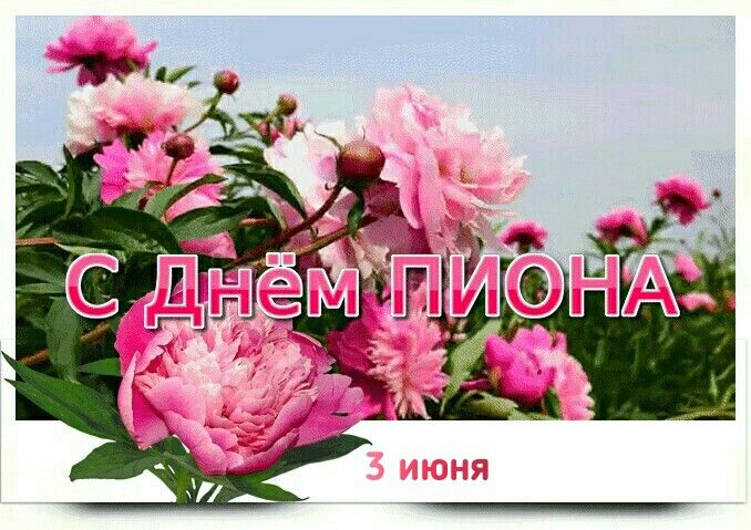 https://upforme.ru/uploads/001c/87/08/3/565164.jpg