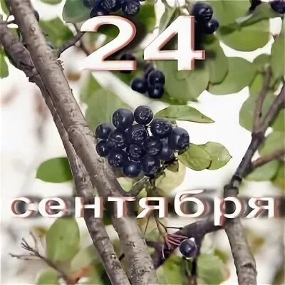 https://upforme.ru/uploads/001c/87/08/3/566167.jpg