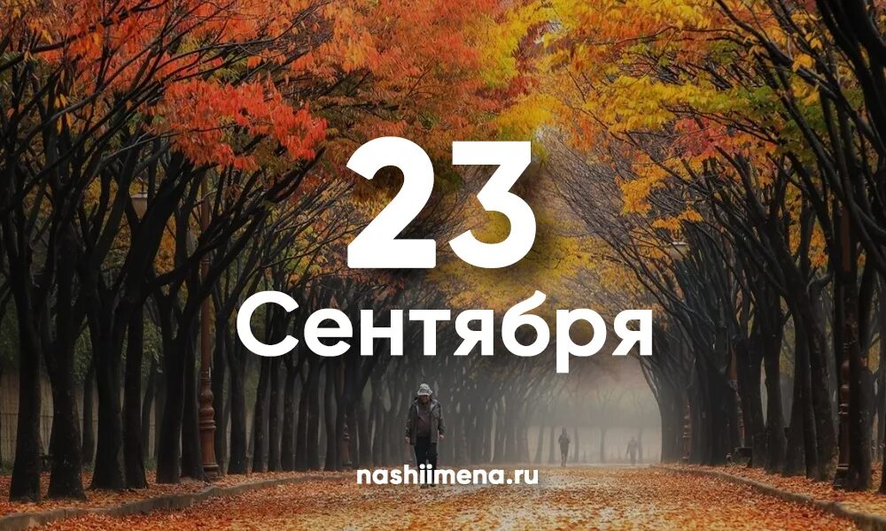 https://upforme.ru/uploads/001c/87/08/3/566206.jpg