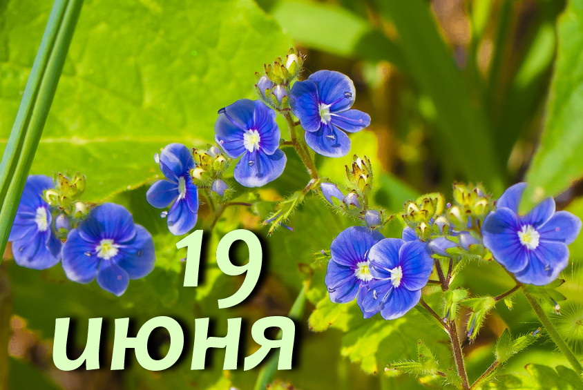 https://upforme.ru/uploads/001c/87/08/3/567806.jpg