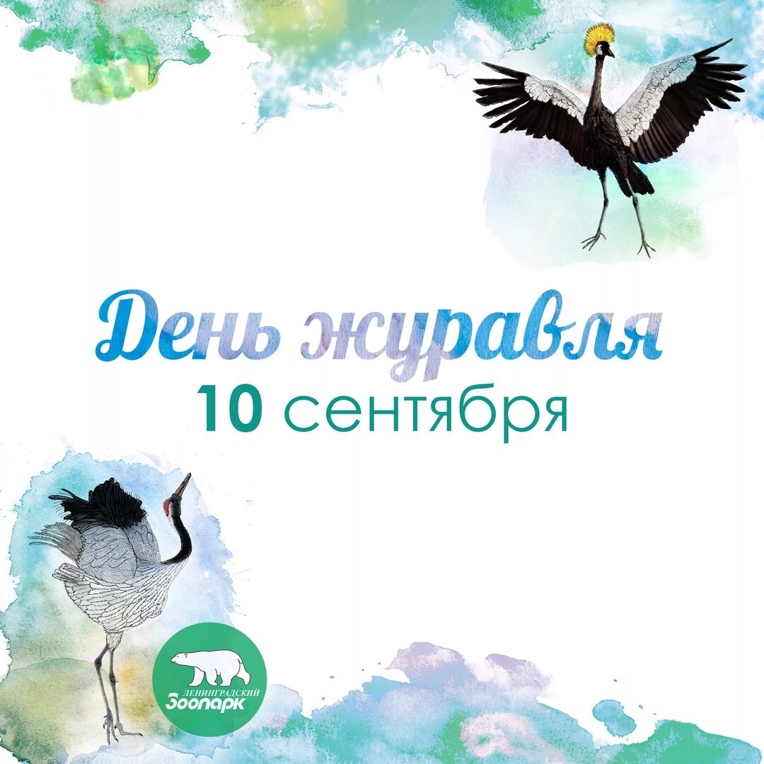 https://upforme.ru/uploads/001c/87/08/3/573661.jpg