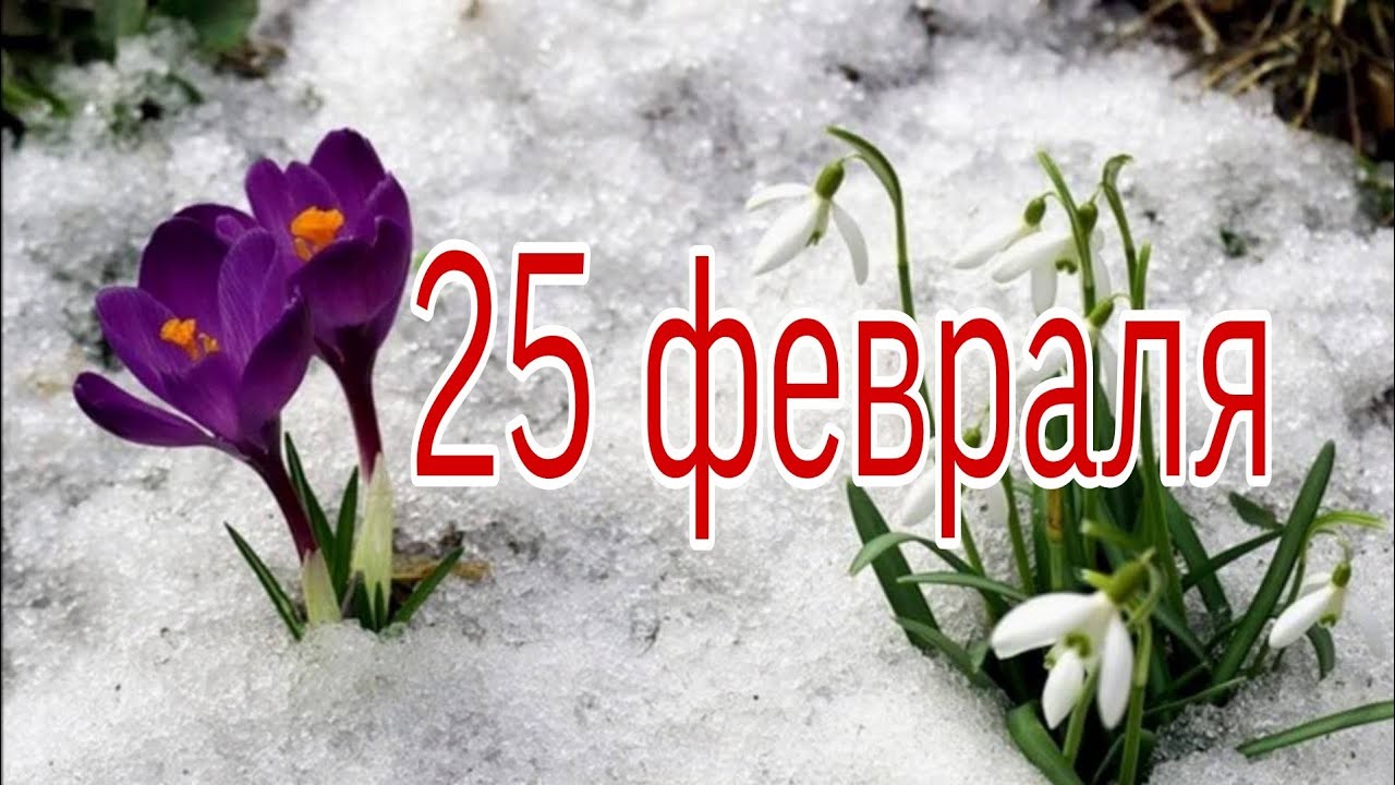 https://upforme.ru/uploads/001c/87/08/3/574201.jpg