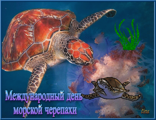 https://upforme.ru/uploads/001c/87/08/3/575656.gif