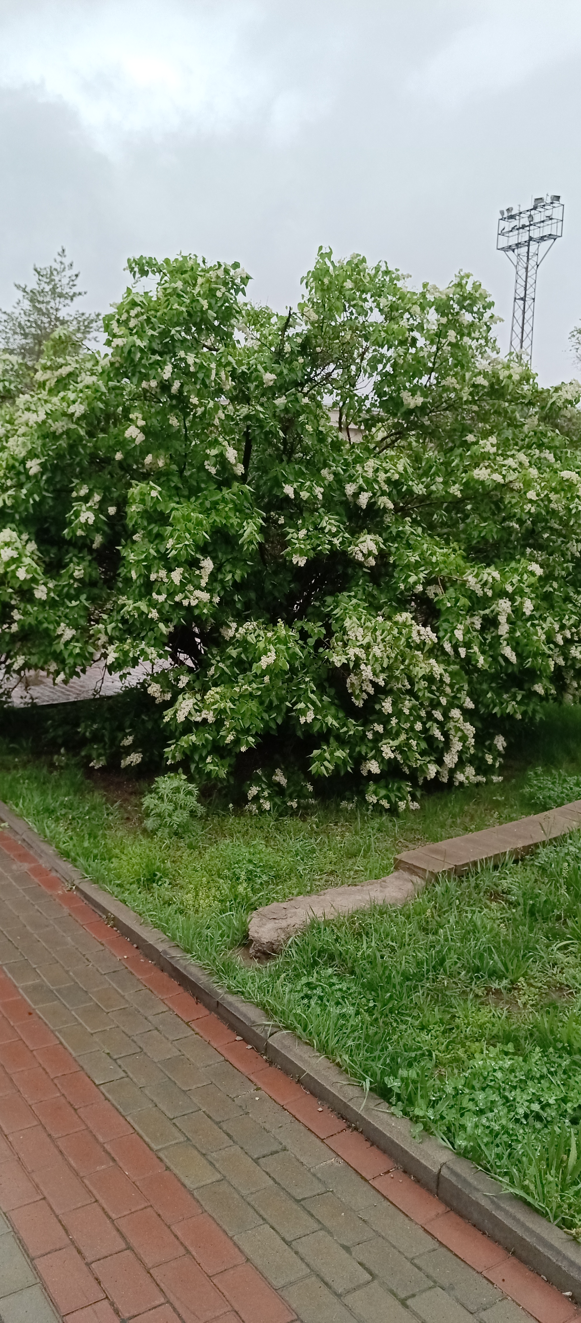 https://upforme.ru/uploads/001c/87/08/3/578851.jpg