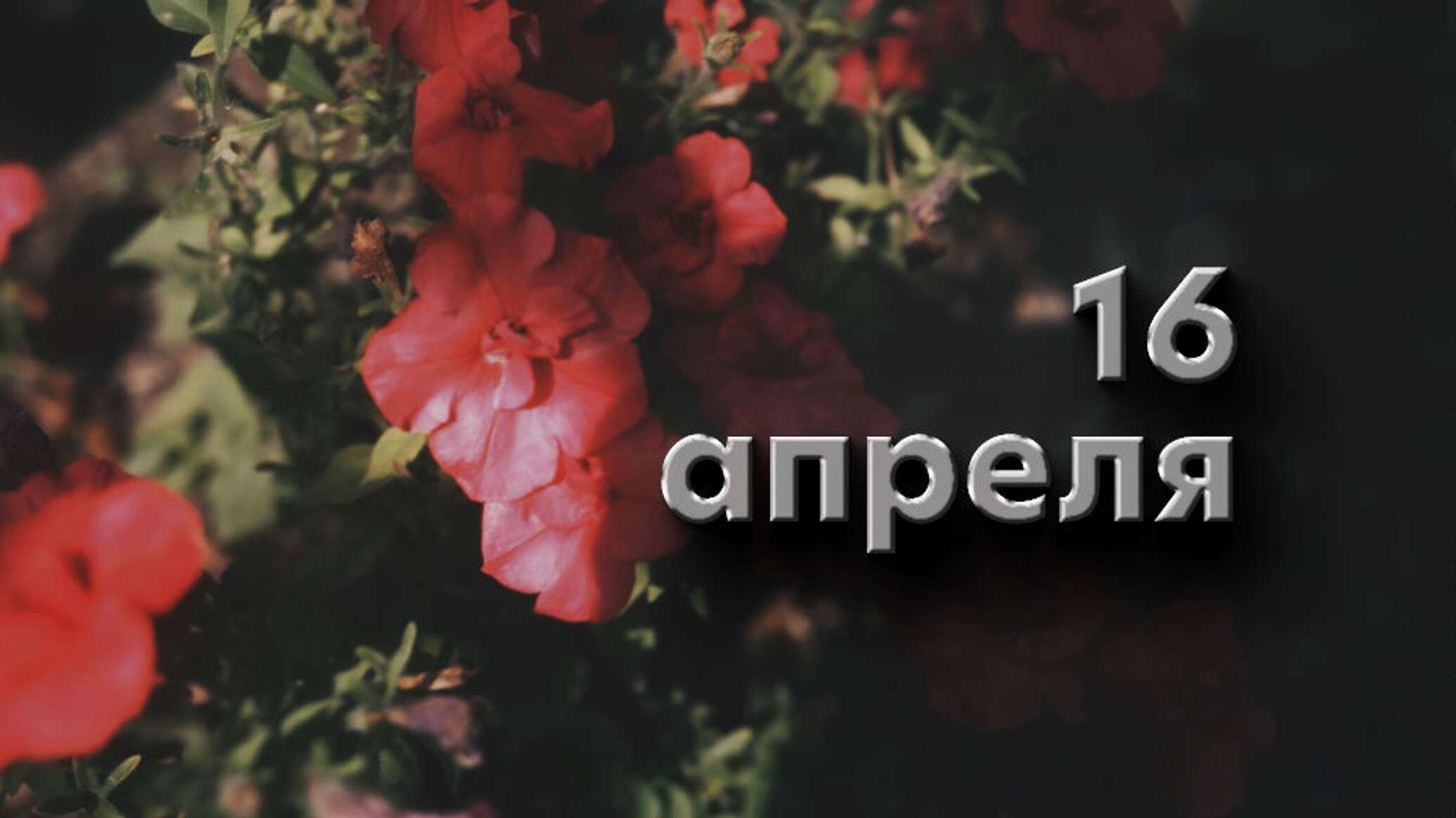 https://upforme.ru/uploads/001c/87/08/3/591764.jpg