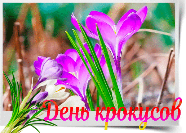 https://upforme.ru/uploads/001c/87/08/3/59356.gif